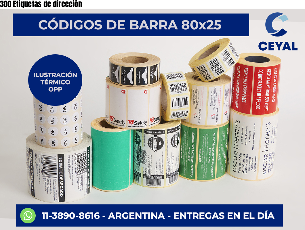 300 Etiquetas de dirección