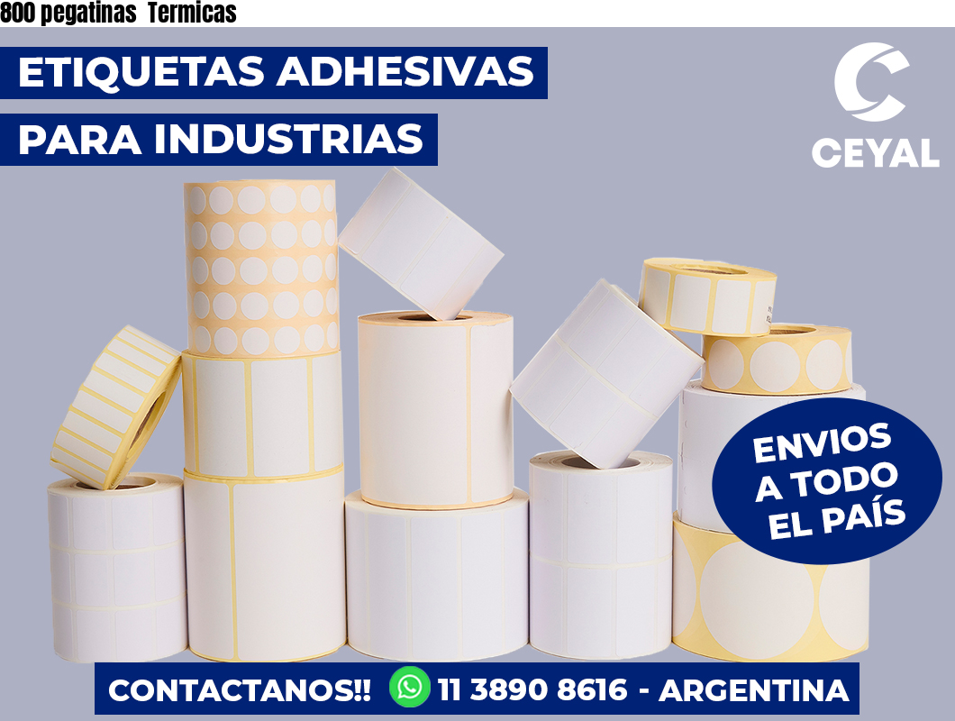 800 pegatinas Termicas
