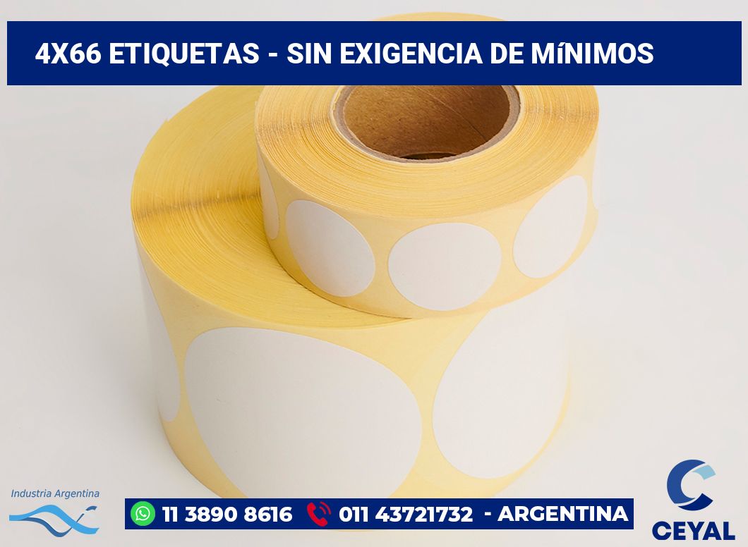 4x66 Etiquetas