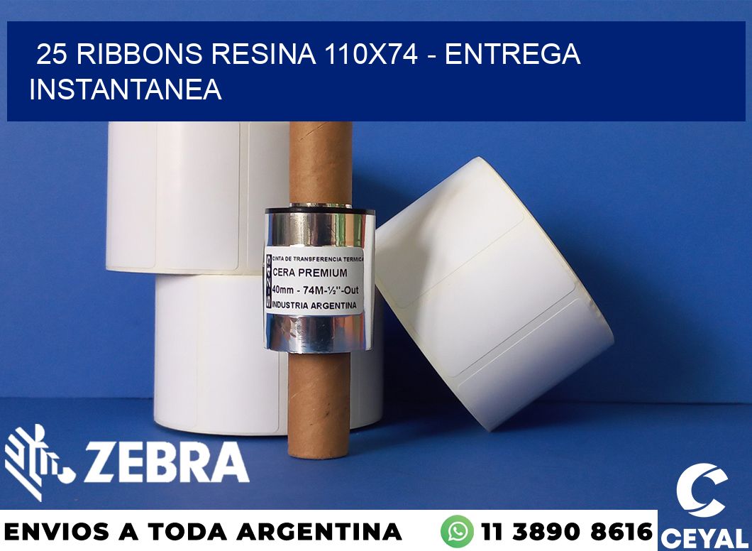 25 Ribbons resina 110x74 - entrega instantanea