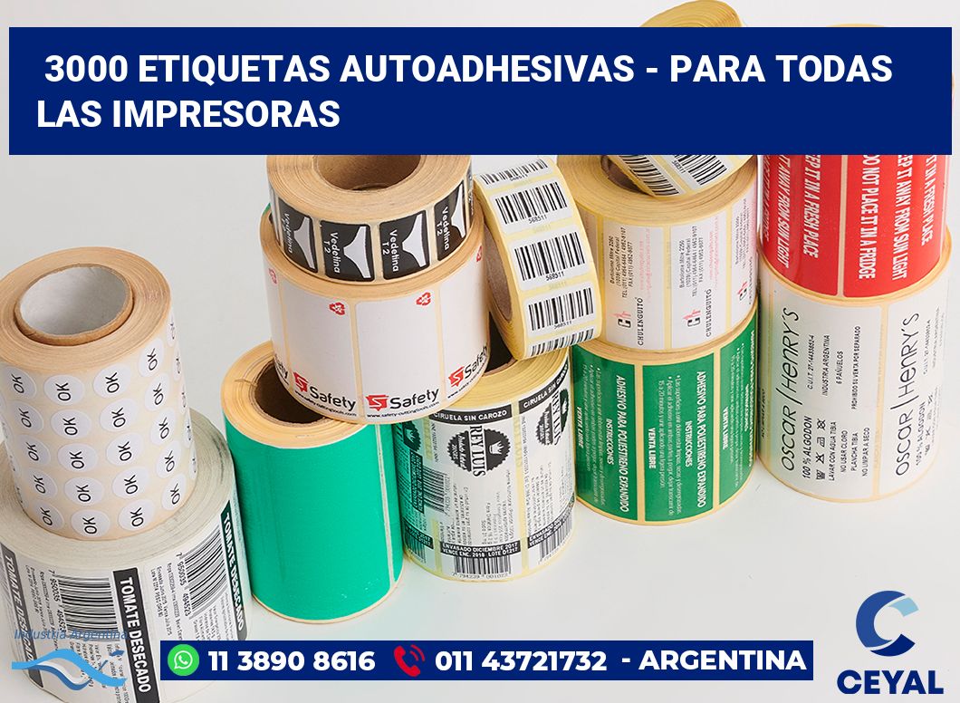 3000 Etiquetas autoadhesivas - para todas las impresoras
