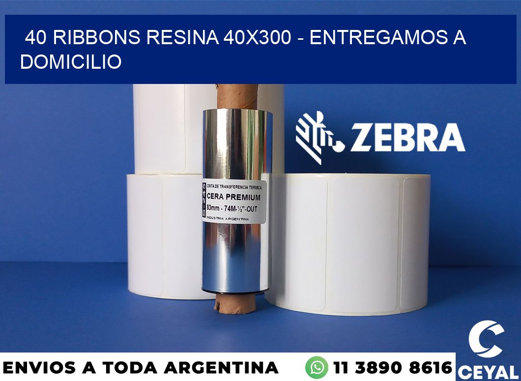 40 Ribbons resina 40x300 - entregamos a domicilio