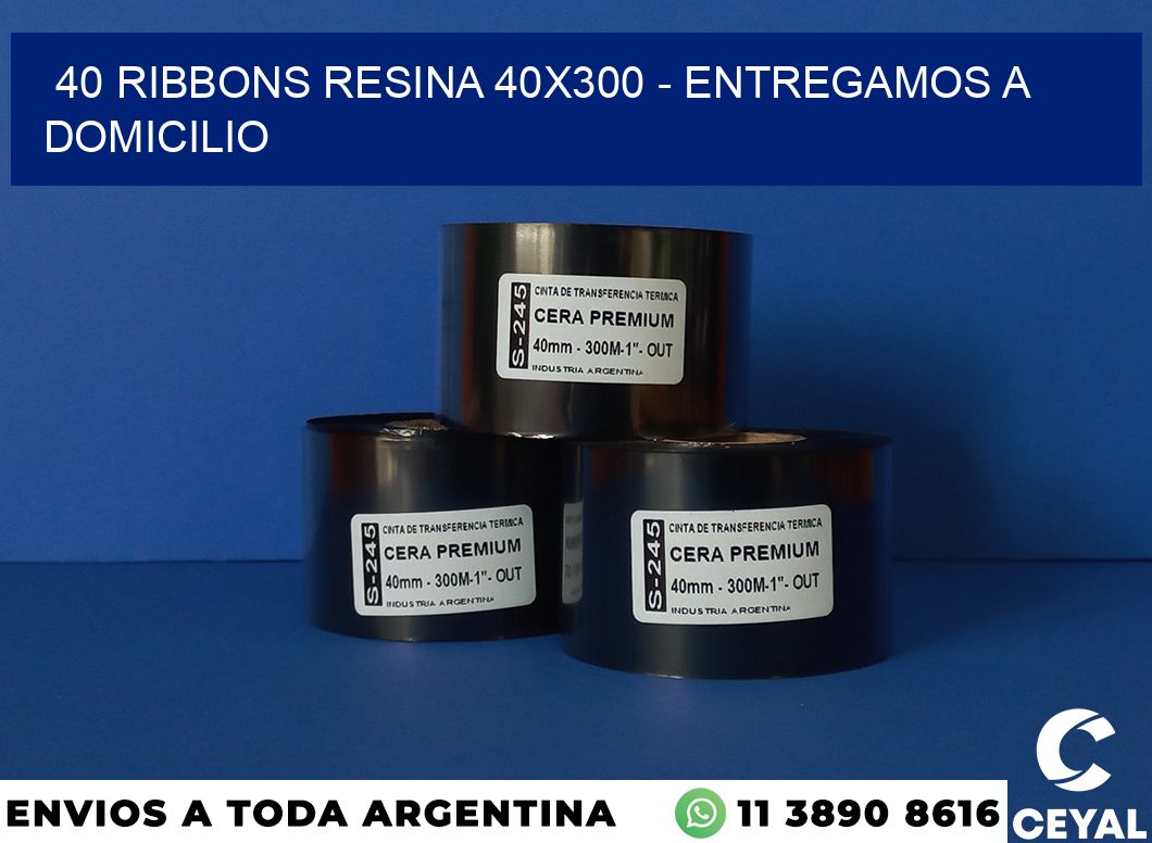 40 Ribbons resina 40×300 – entregamos a domicilio