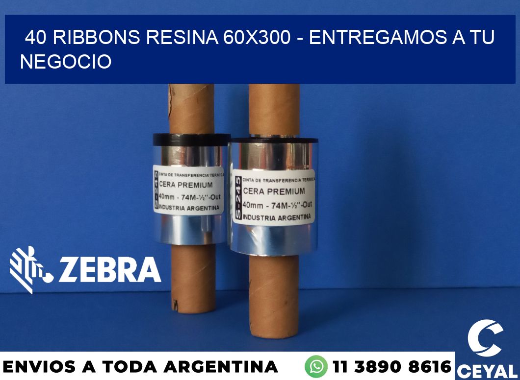 40 Ribbons resina 60x300 - entregamos a tu negocio