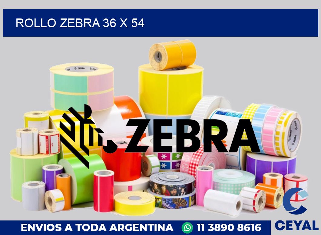 rollo zebra 36 x 54