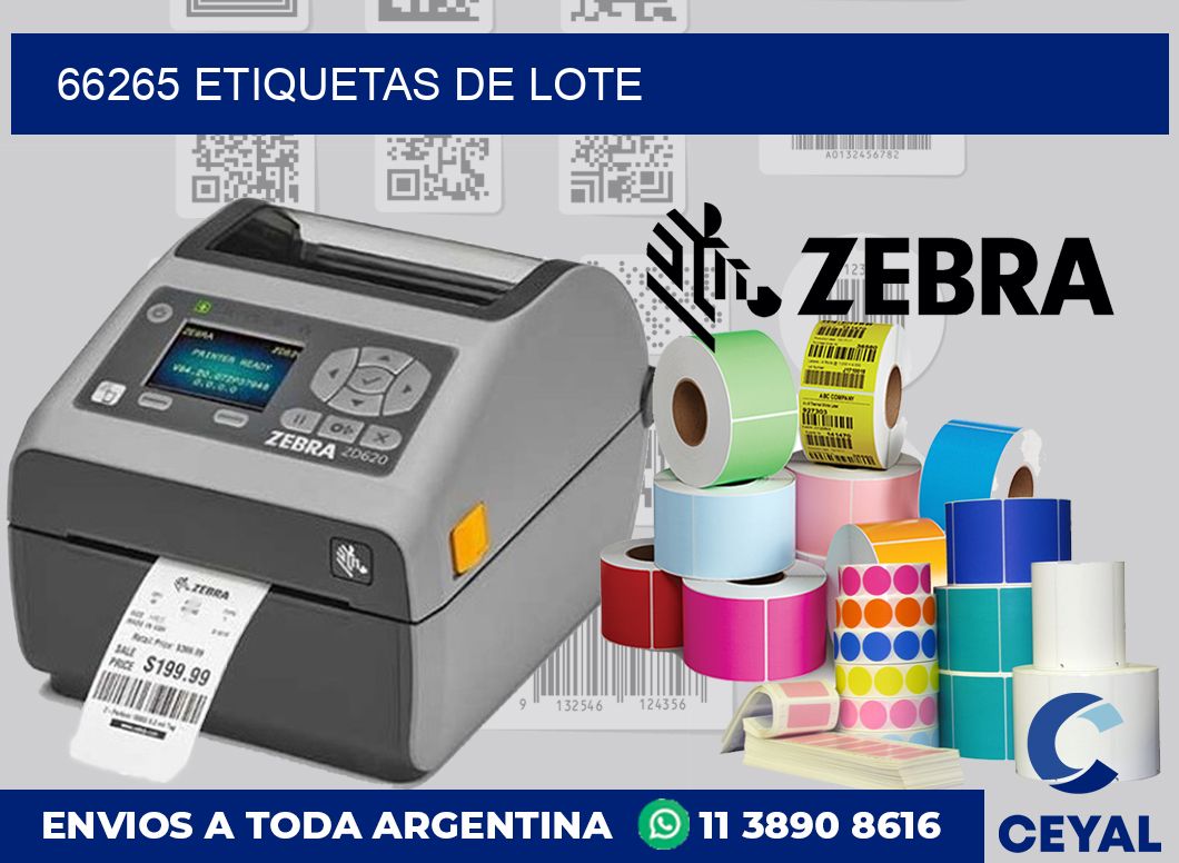 66265 Etiquetas de lote