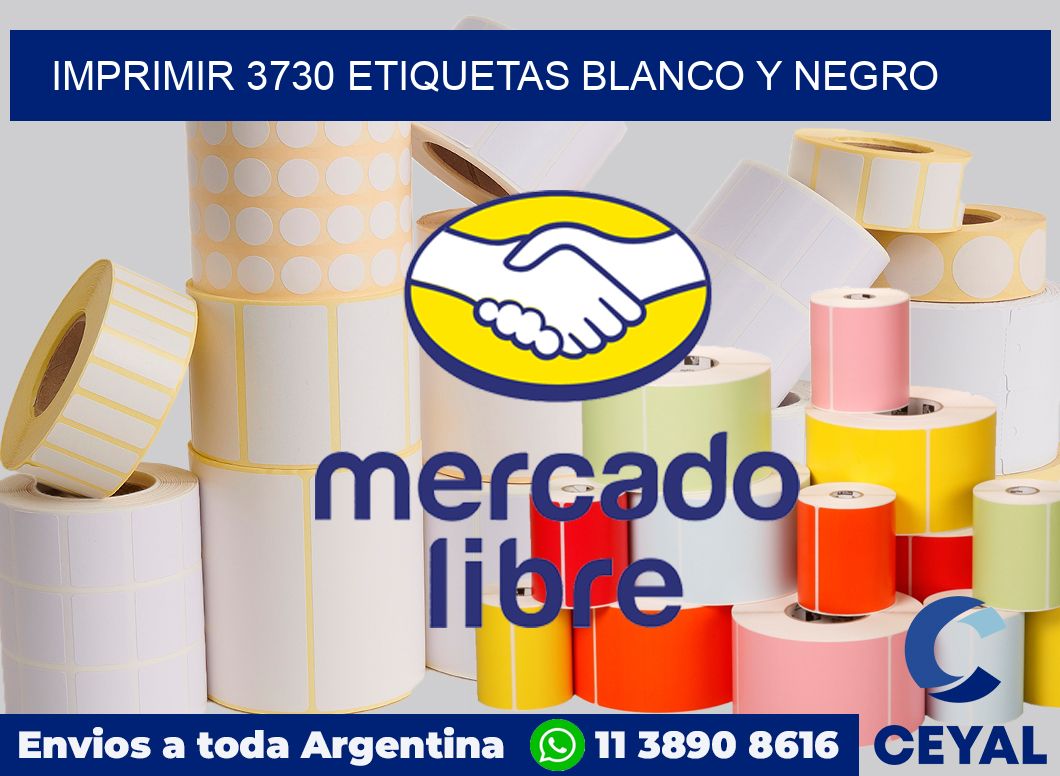 imprimir 3730 etiquetas blanco y negro
