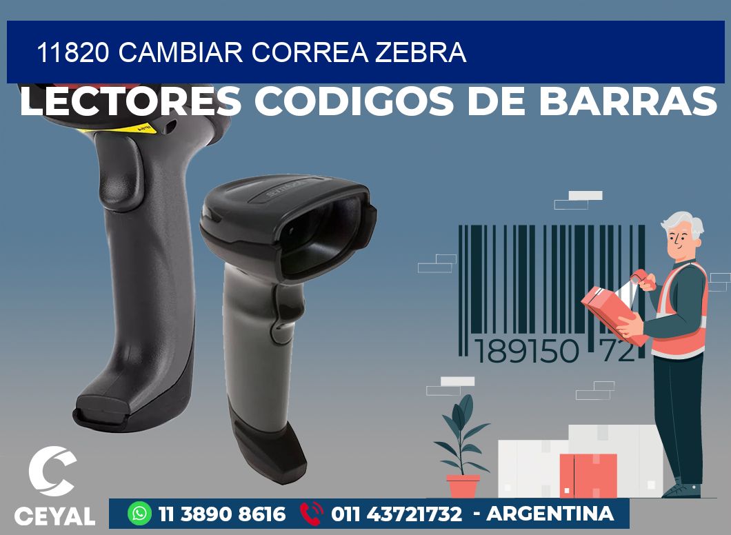 11820 CAMBIAR CORREA ZEBRA