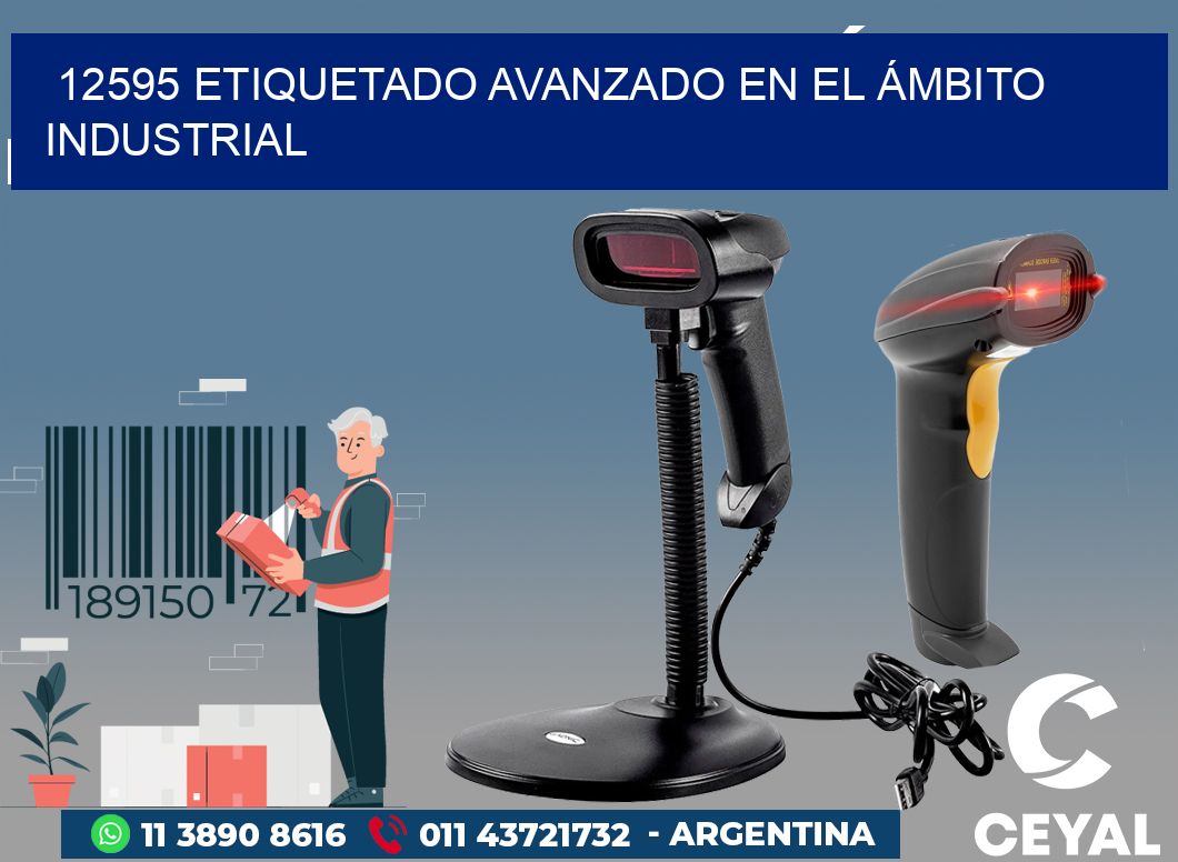 12595 ETIQUETADO AVANZADO EN EL ÁMBITO INDUSTRIAL