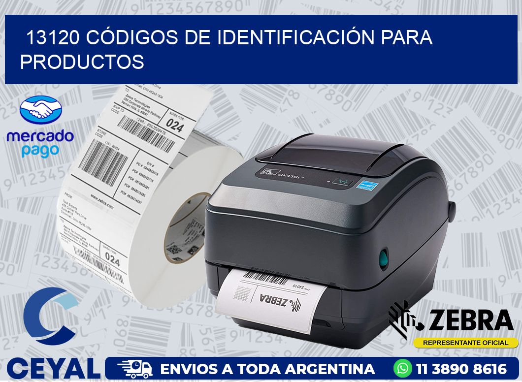 13120 CÓDIGOS DE IDENTIFICACIÓN PARA PRODUCTOS