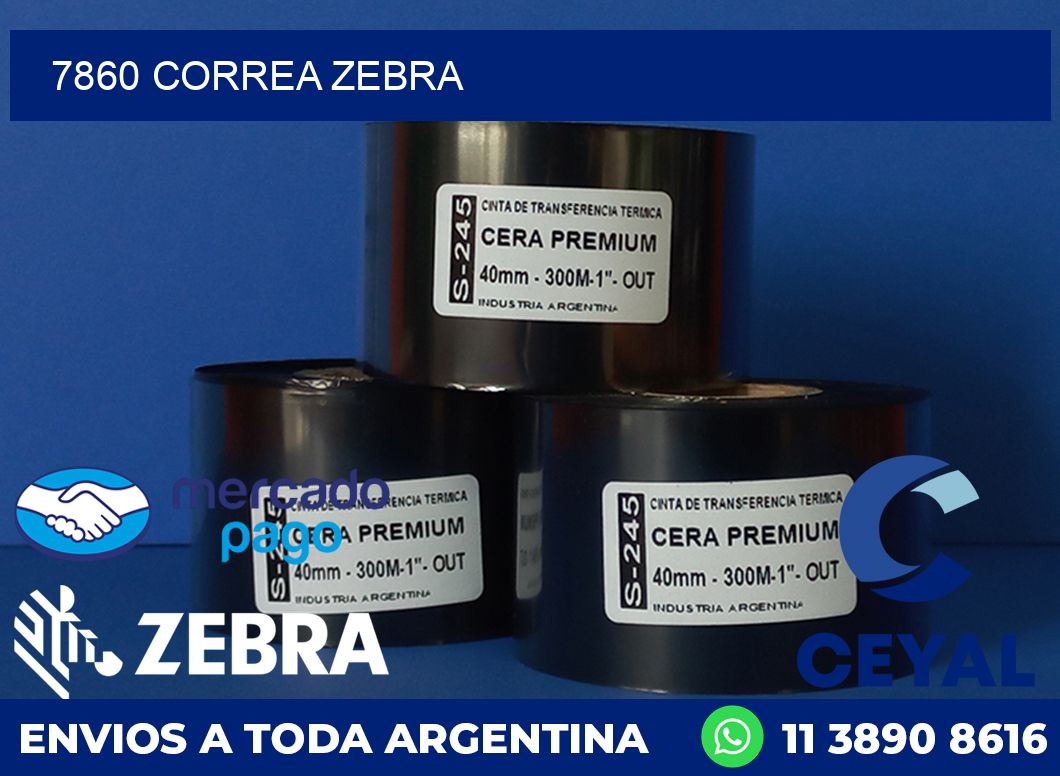7860 CORREA ZEBRA