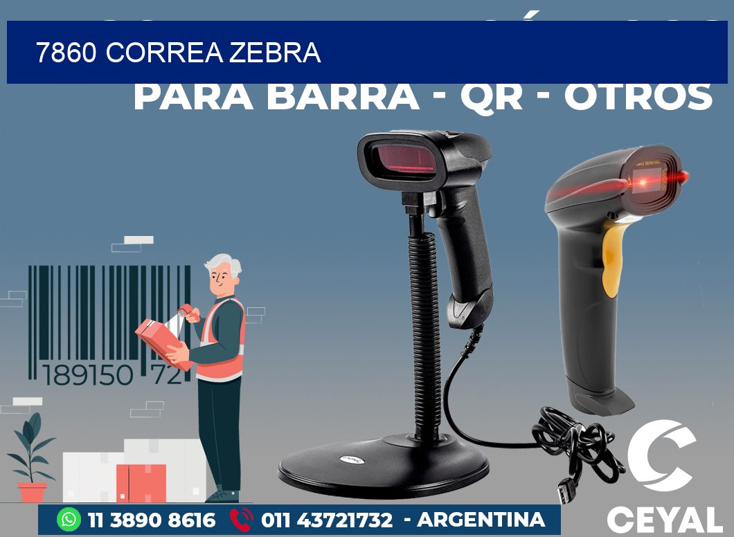 7860 CORREA ZEBRA