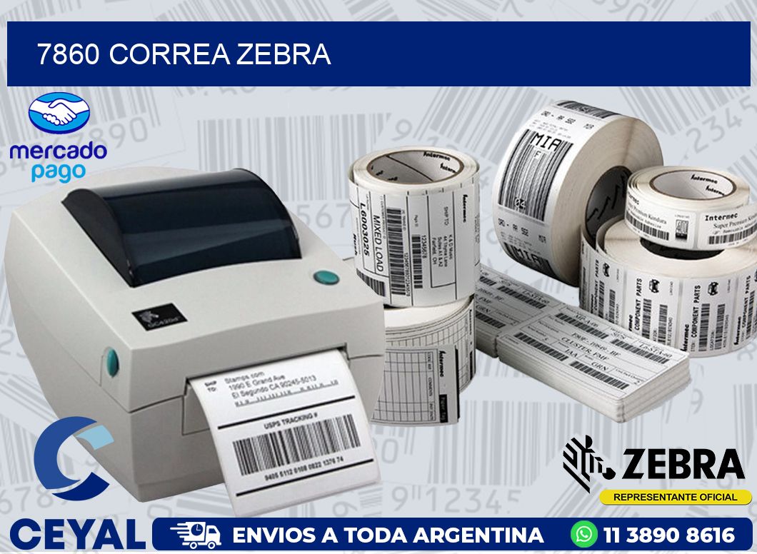 7860 CORREA ZEBRA