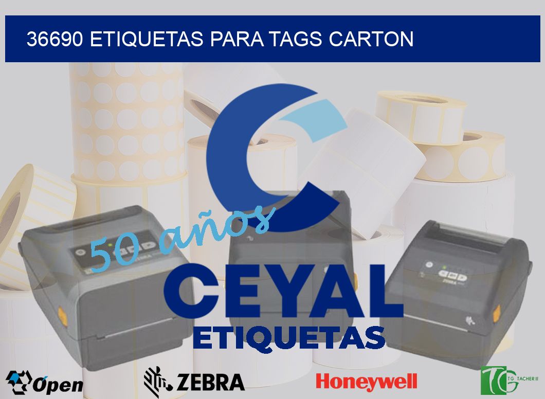 36690 ETIQUETAS PARA TAGS CARTON