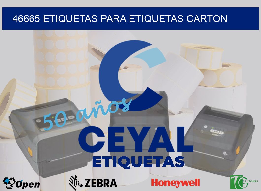46665 ETIQUETAS PARA ETIQUETAS CARTON