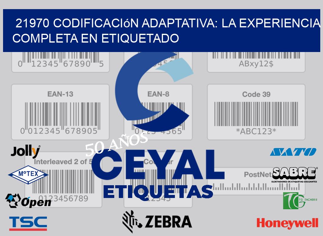 21970 Codificación Adaptativa: La Experiencia Completa en Etiquetado