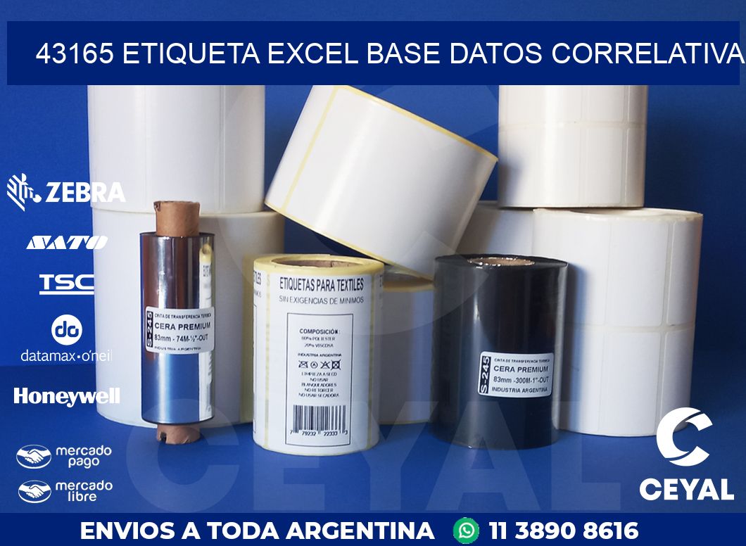 43165 etiqueta excel base datos correlativa