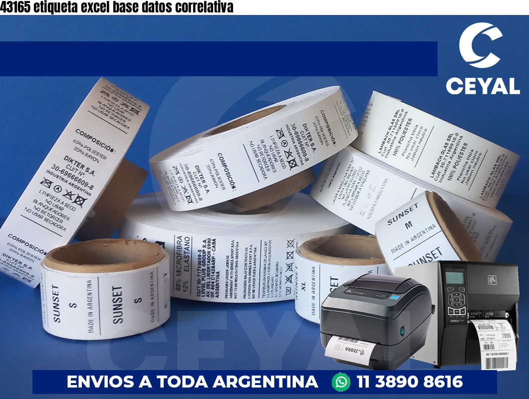 43165 etiqueta excel base datos correlativa