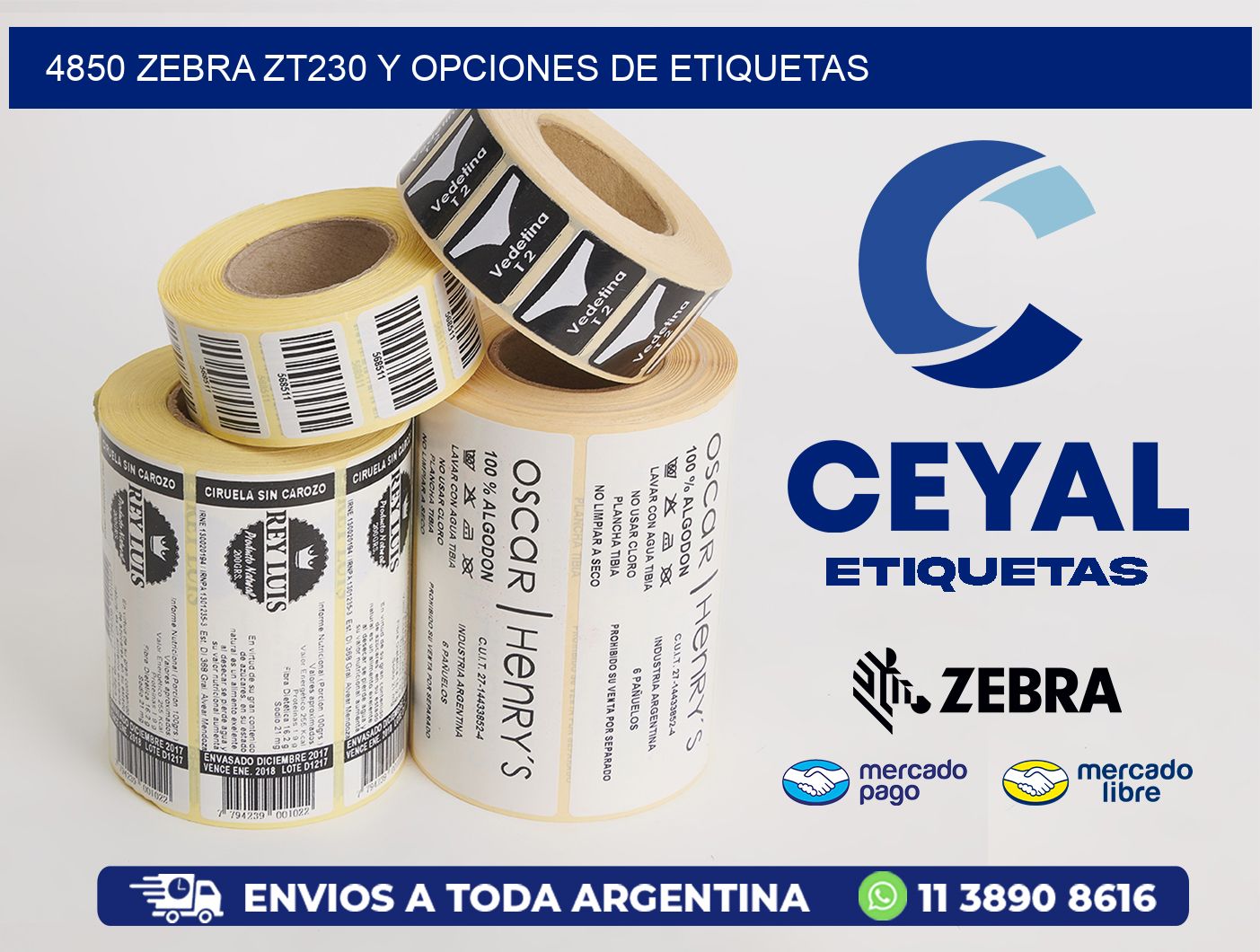 4850 Zebra ZT230 y Opciones de Etiquetas