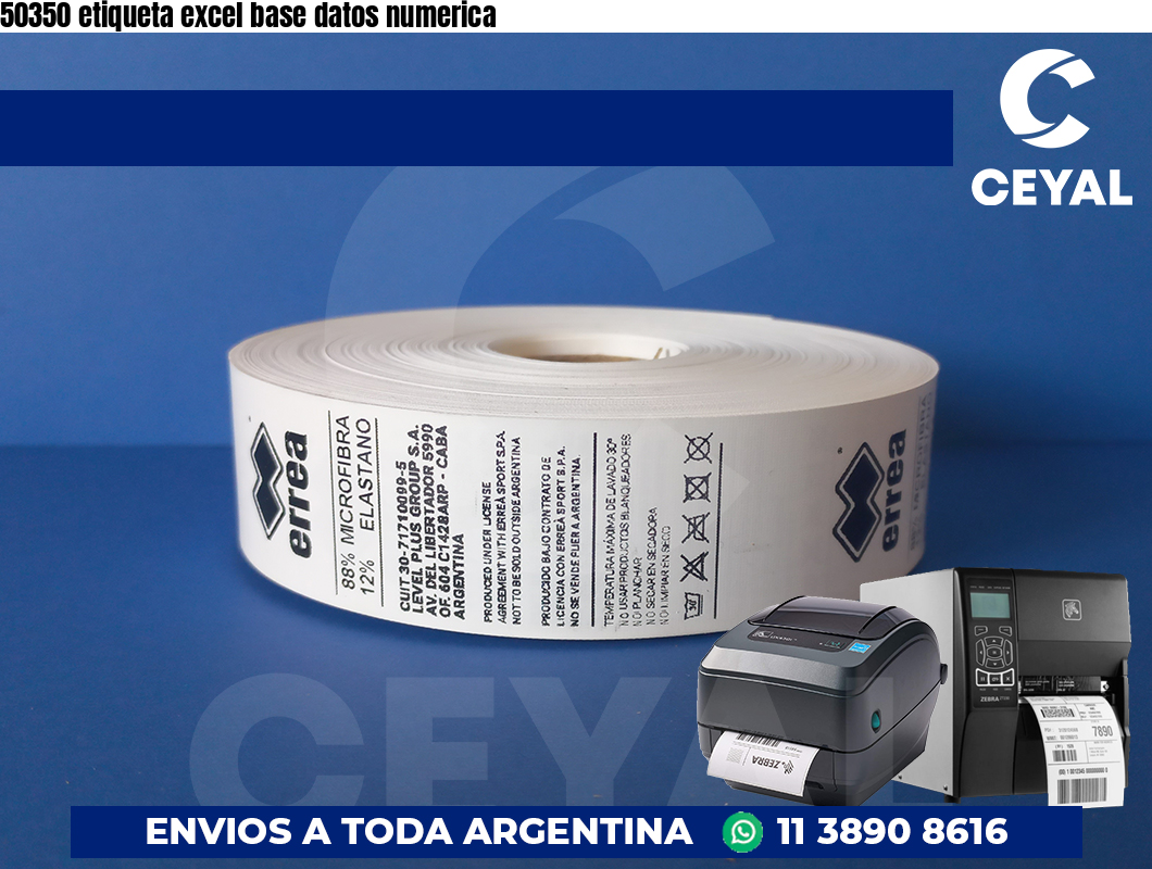 50350 etiqueta excel base datos numerica