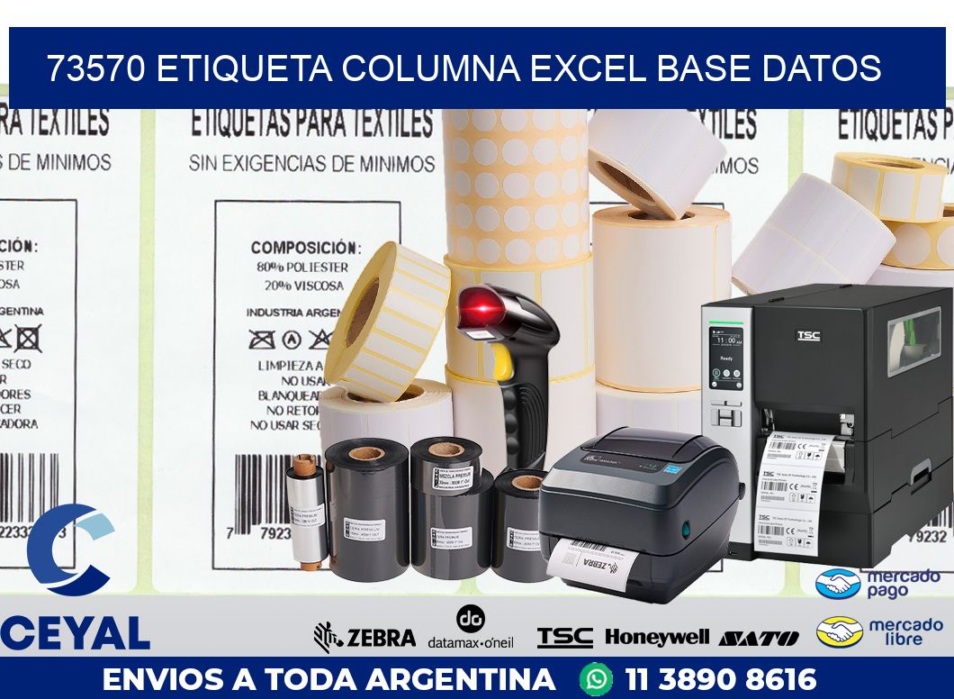 73570 etiqueta columna excel base datos