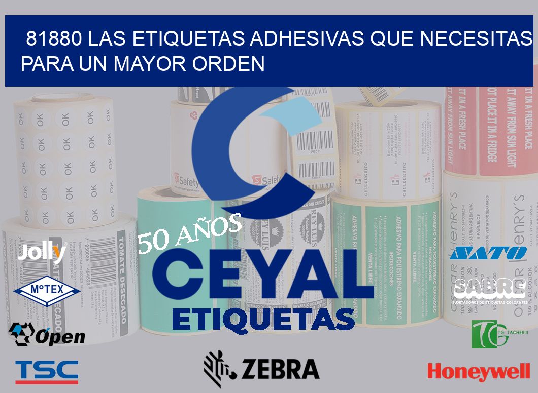 81880 LAS ETIQUETAS ADHESIVAS QUE NECESITAS PARA UN MAYOR ORDEN