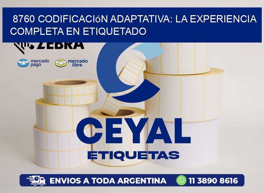 8760 Codificación Adaptativa: La Experiencia Completa en Etiquetado