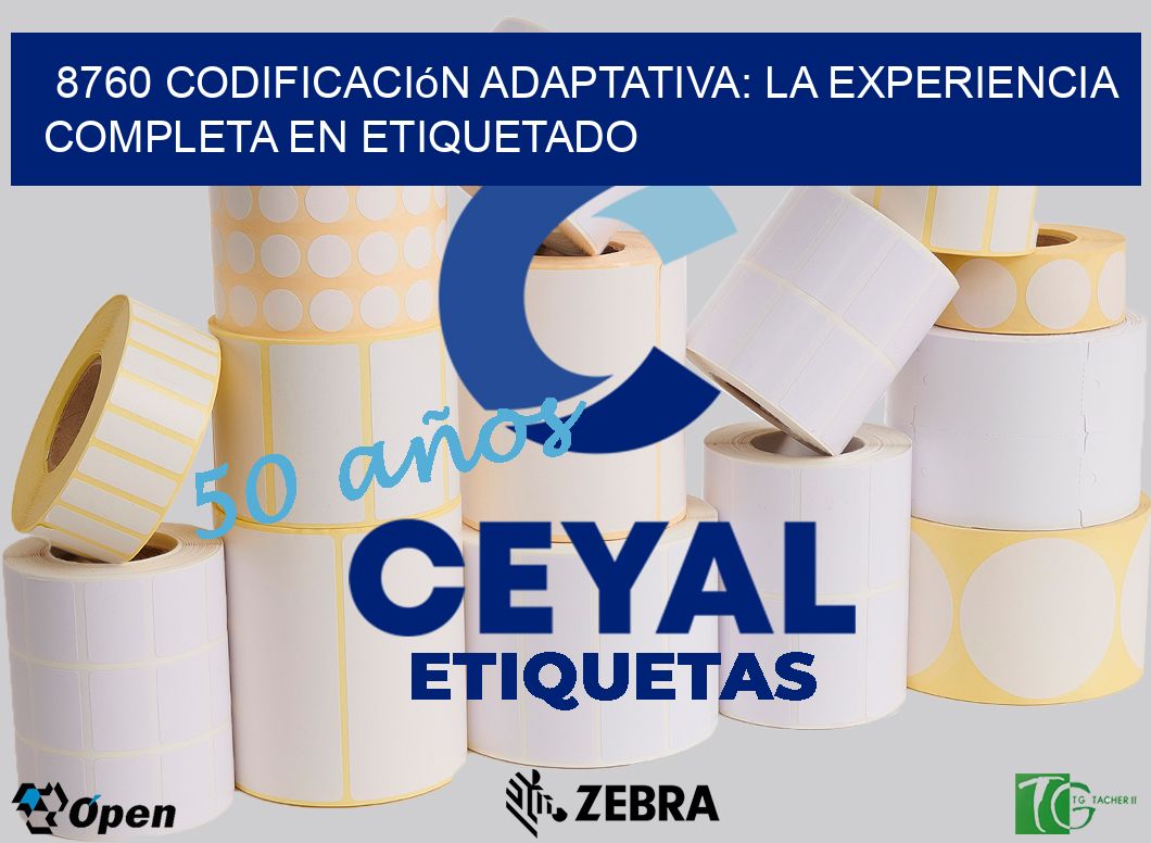 8760 Codificación Adaptativa: La Experiencia Completa en Etiquetado