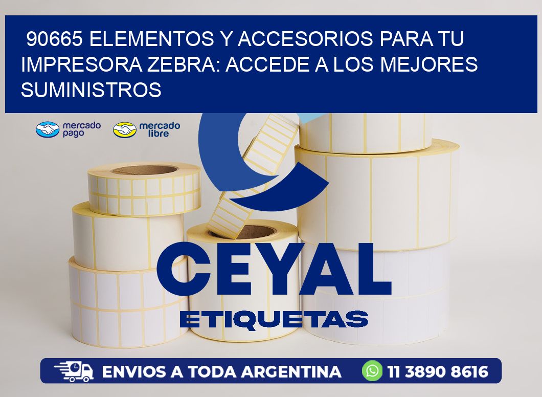 90665 ELEMENTOS Y ACCESORIOS PARA TU IMPRESORA ZEBRA: ACCEDE A LOS MEJORES SUMINISTROS