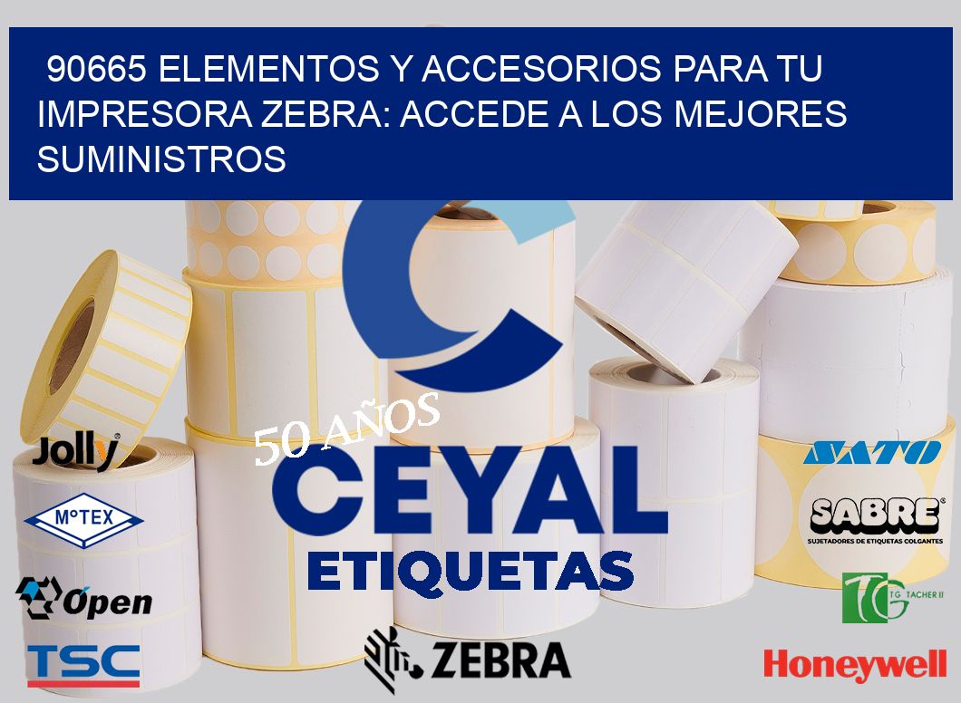 90665 ELEMENTOS Y ACCESORIOS PARA TU IMPRESORA ZEBRA: ACCEDE A LOS MEJORES SUMINISTROS