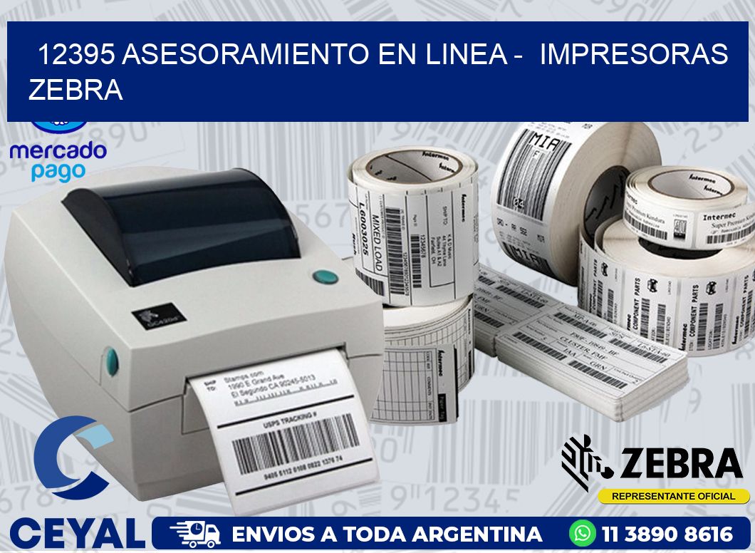 12395 ASESORAMIENTO EN LINEA -  IMPRESORAS ZEBRA
