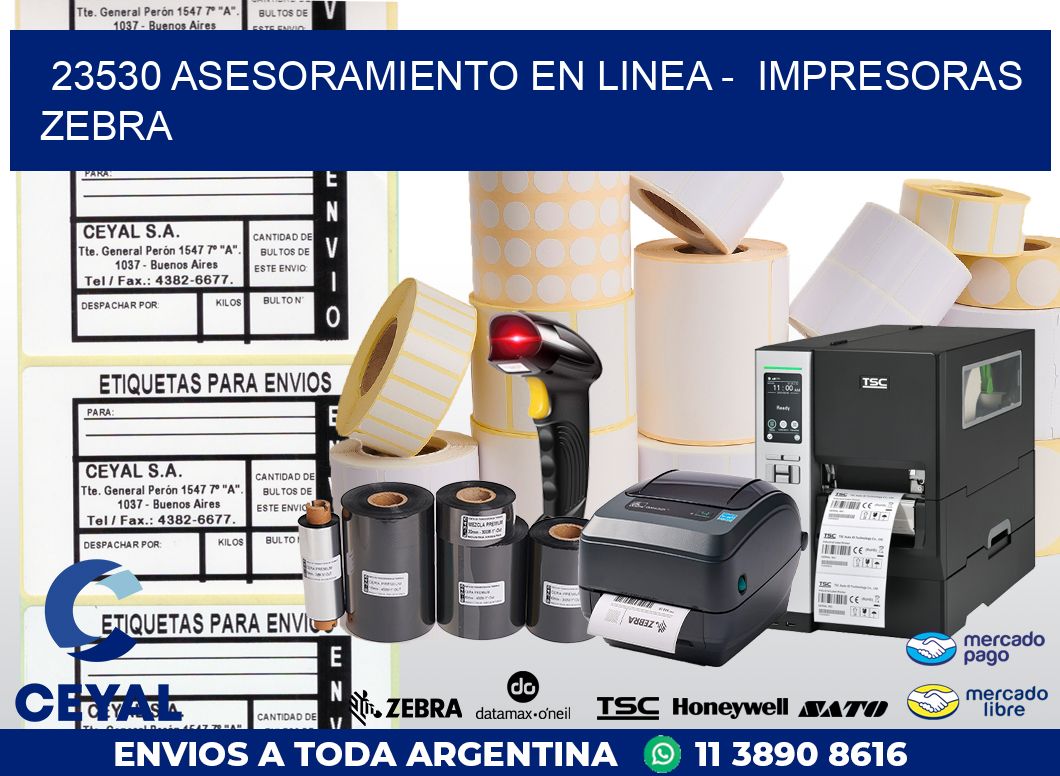 23530 ASESORAMIENTO EN LINEA -  IMPRESORAS ZEBRA