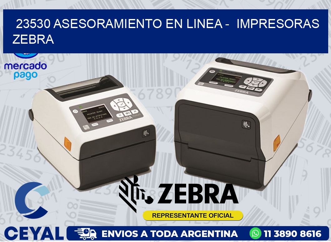 23530 ASESORAMIENTO EN LINEA -  IMPRESORAS ZEBRA