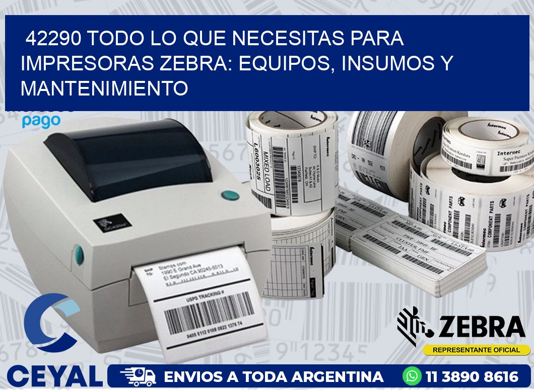 42290 TODO LO QUE NECESITAS PARA IMPRESORAS ZEBRA: EQUIPOS, INSUMOS Y MANTENIMIENTO