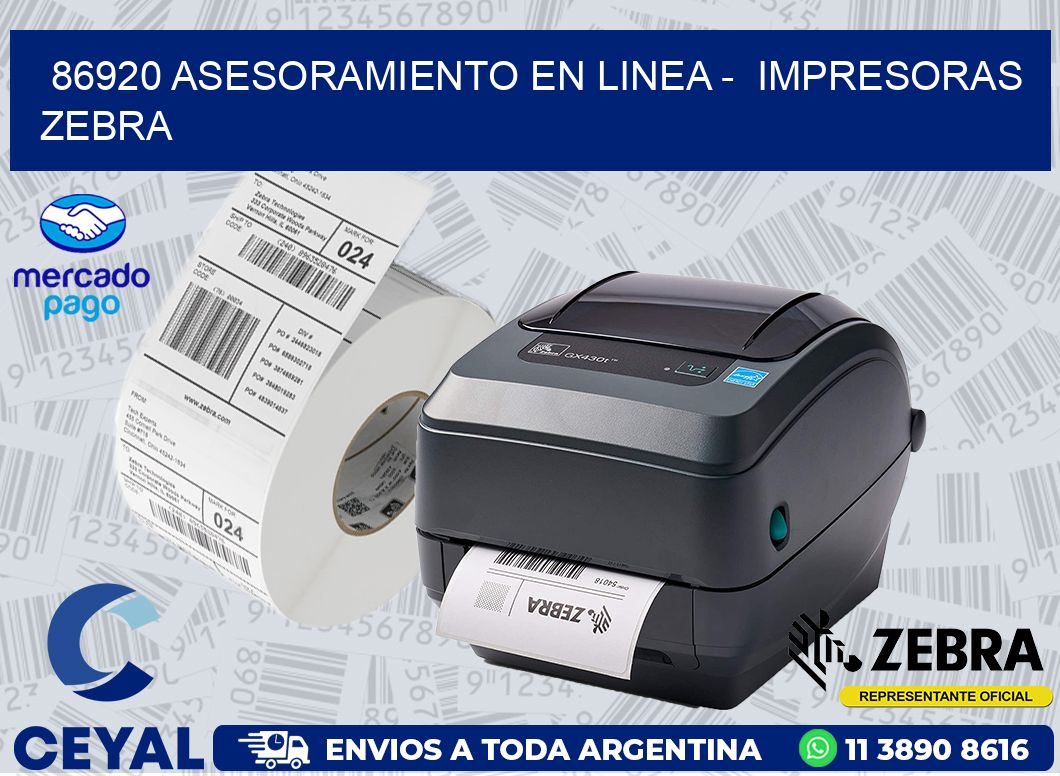 86920 ASESORAMIENTO EN LINEA -  IMPRESORAS ZEBRA