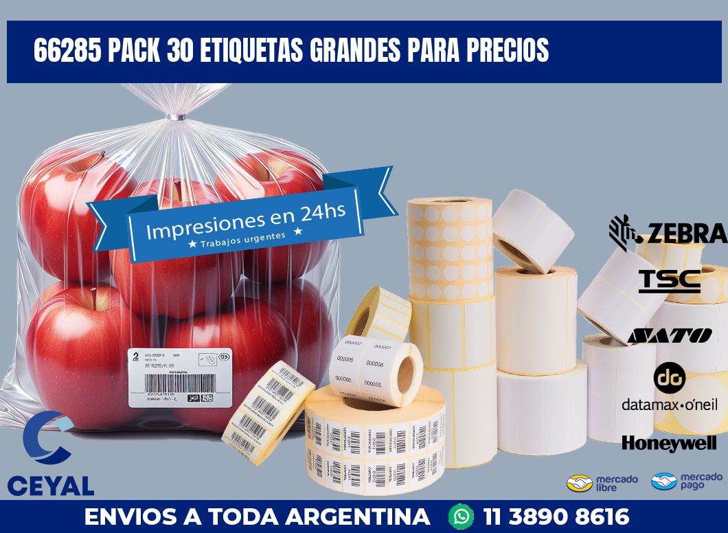 66285 PACK 30 ETIQUETAS GRANDES PARA PRECIOS
