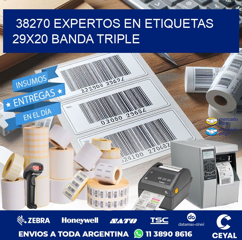38270 EXPERTOS EN ETIQUETAS 29X20 BANDA TRIPLE