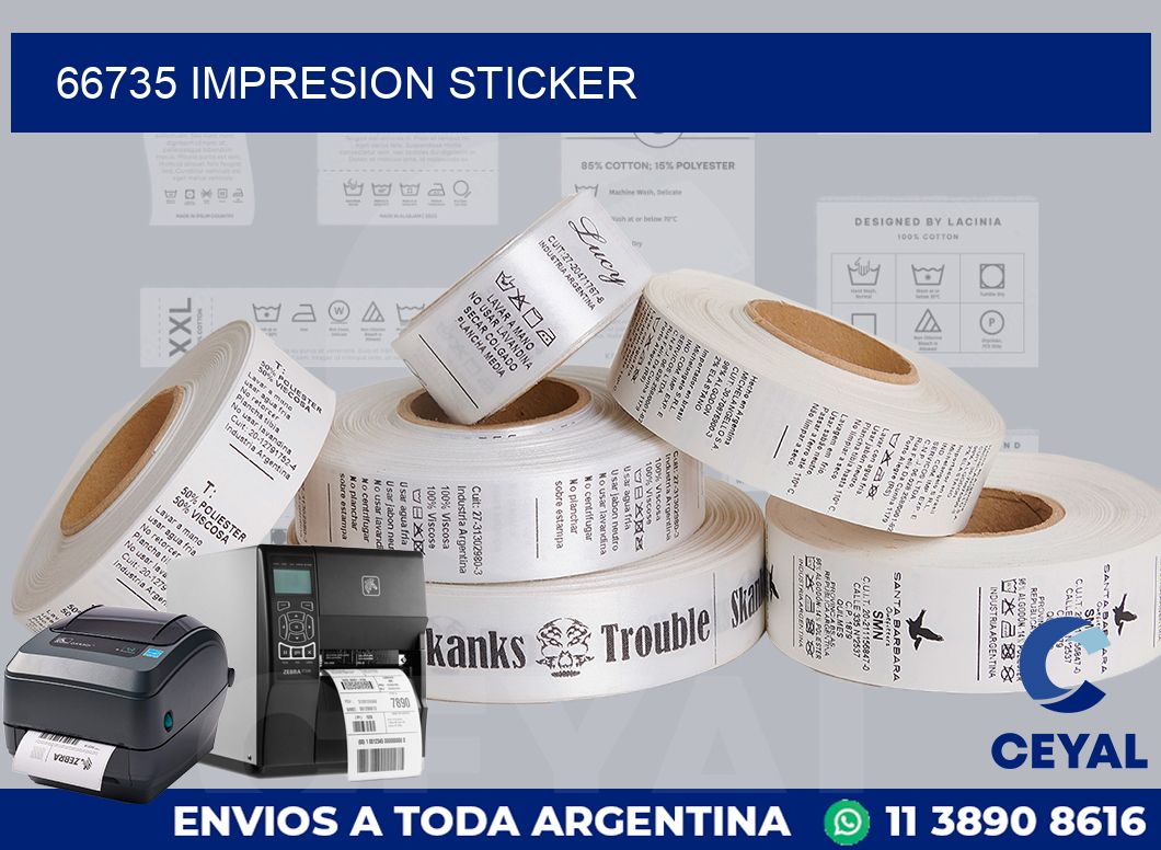 66735 Impresion sticker