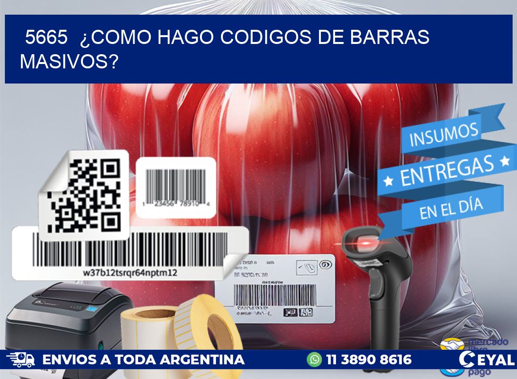 5665  ¿COMO HAGO CODIGOS DE BARRAS MASIVOS?