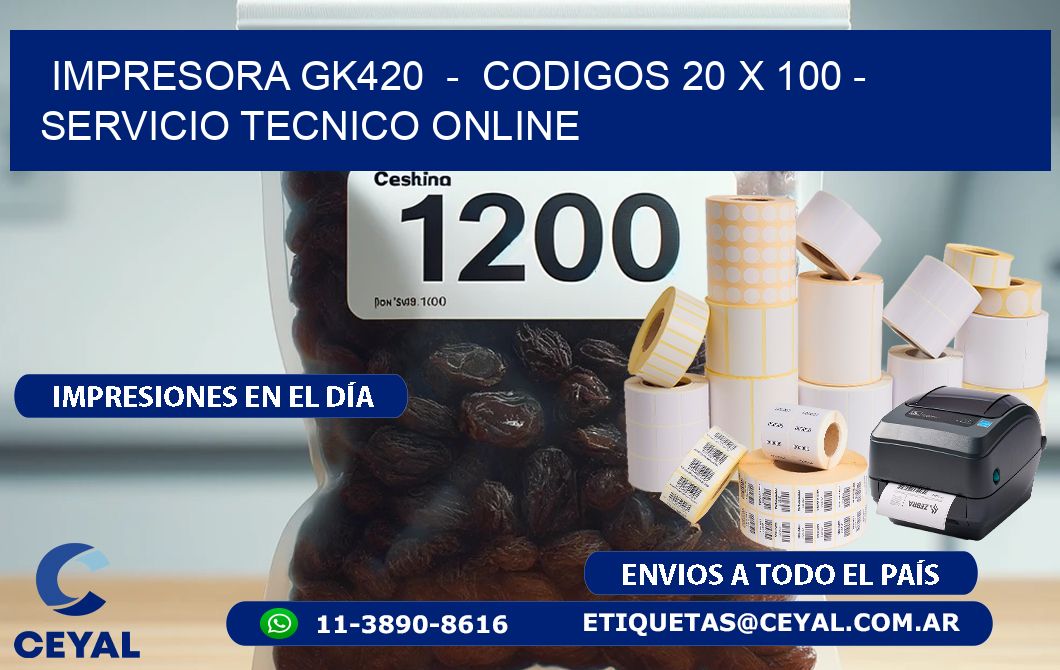 IMPRESORA GK420  -  CODIGOS 20 x 100 - SERVICIO TECNICO ONLINE