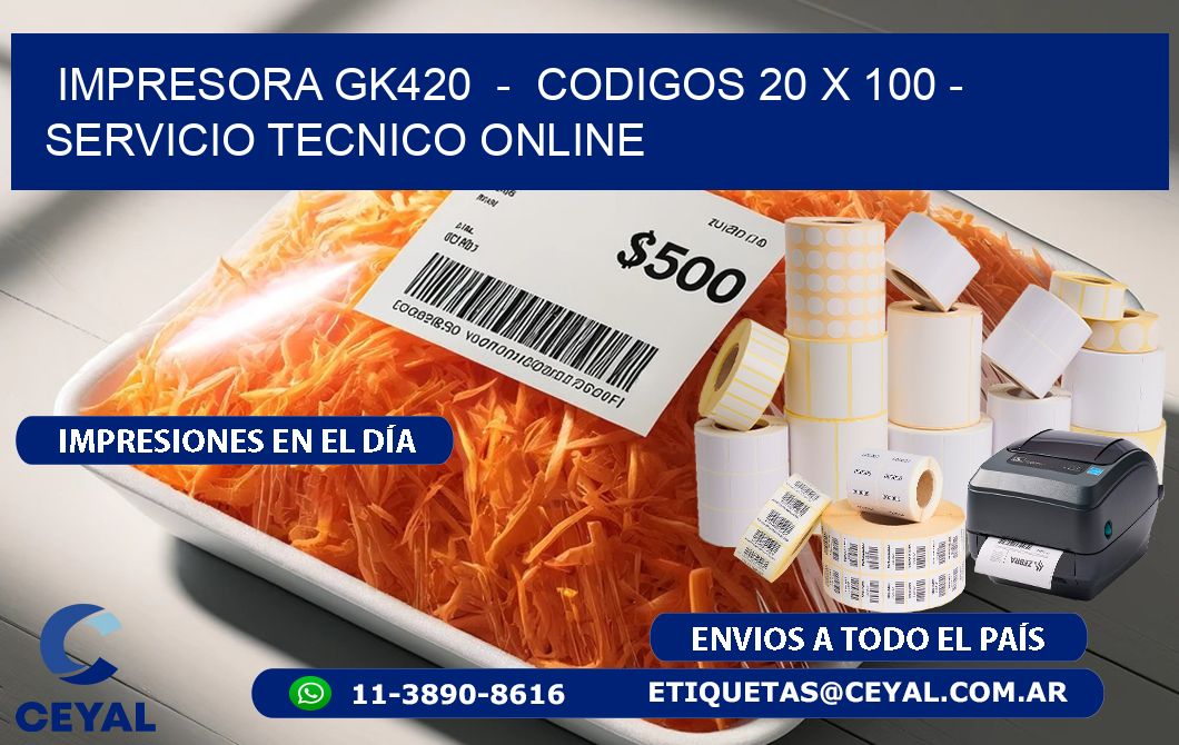 IMPRESORA GK420  -  CODIGOS 20 x 100 - SERVICIO TECNICO ONLINE