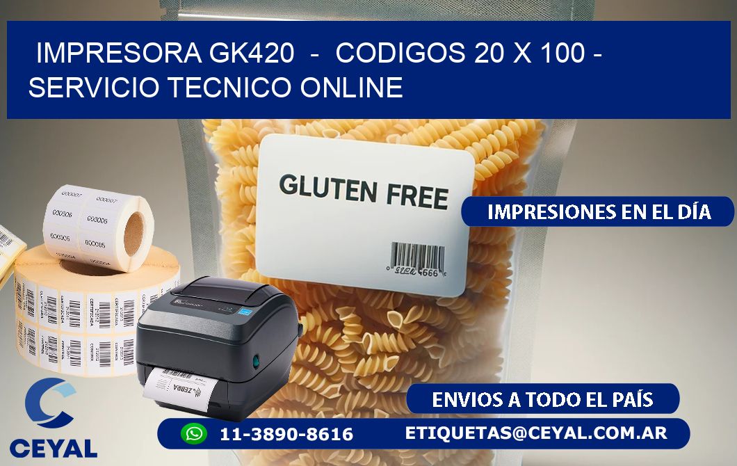 IMPRESORA GK420  -  CODIGOS 20 x 100 - SERVICIO TECNICO ONLINE