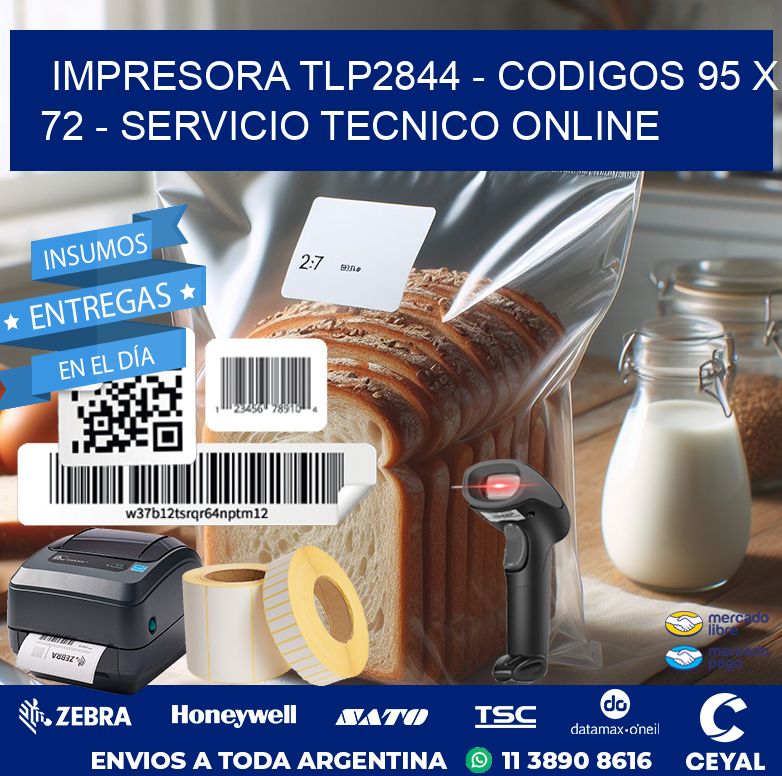 IMPRESORA TLP2844 – CODIGOS 95 x 72 – SERVICIO TECNICO ONLINE