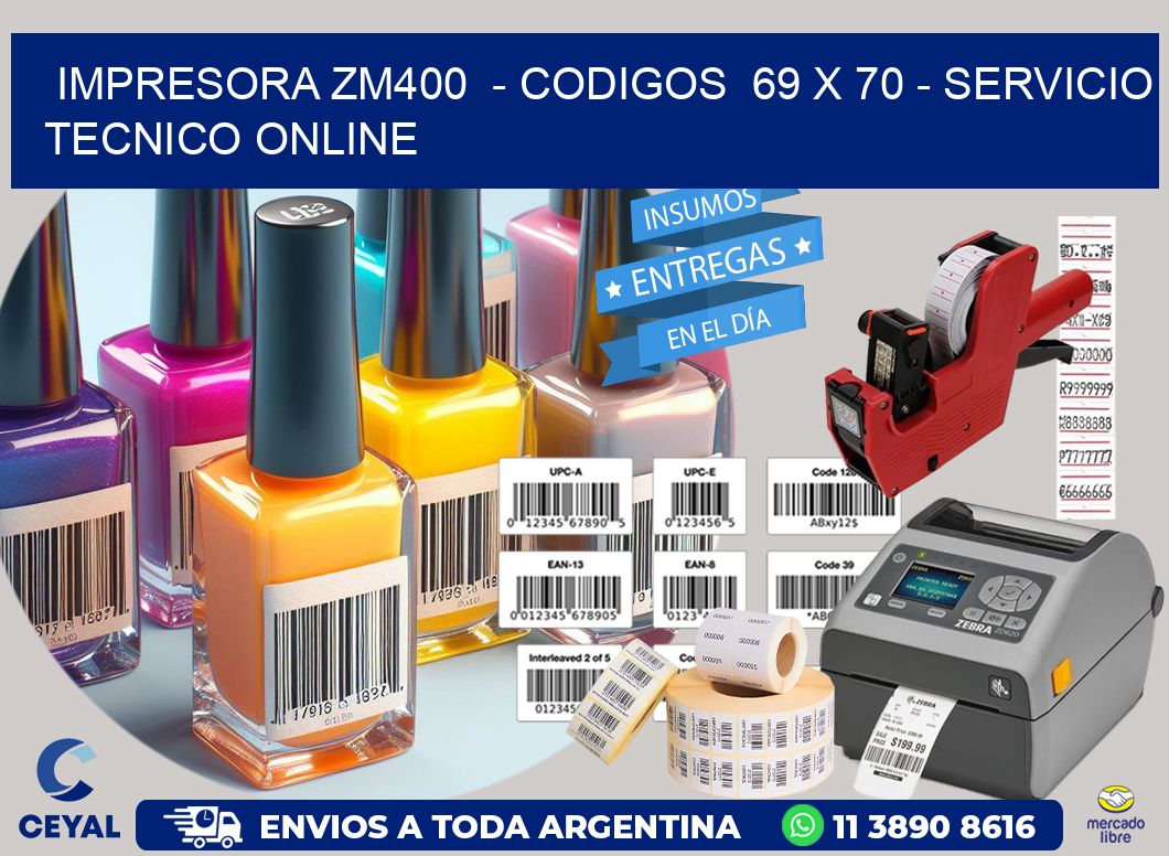 IMPRESORA ZM400 - CODIGOS 69 x 70 - SERVICIO TECNICO ONLINE