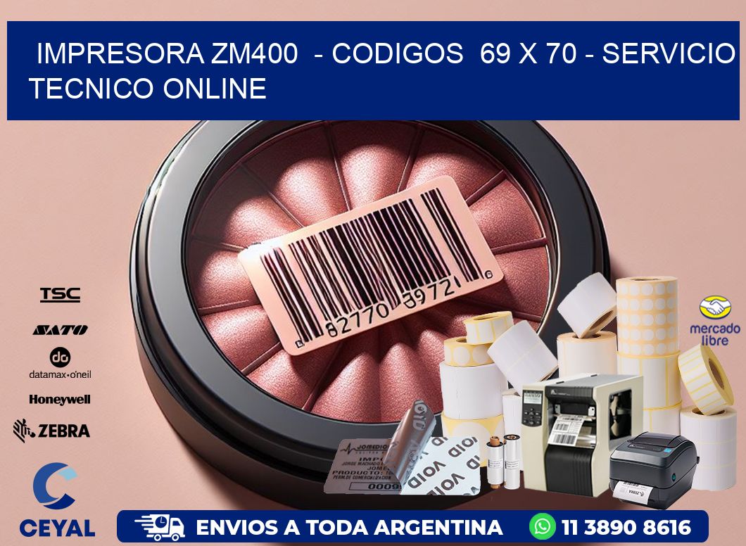 IMPRESORA ZM400 - CODIGOS 69 x 70 - SERVICIO TECNICO ONLINE