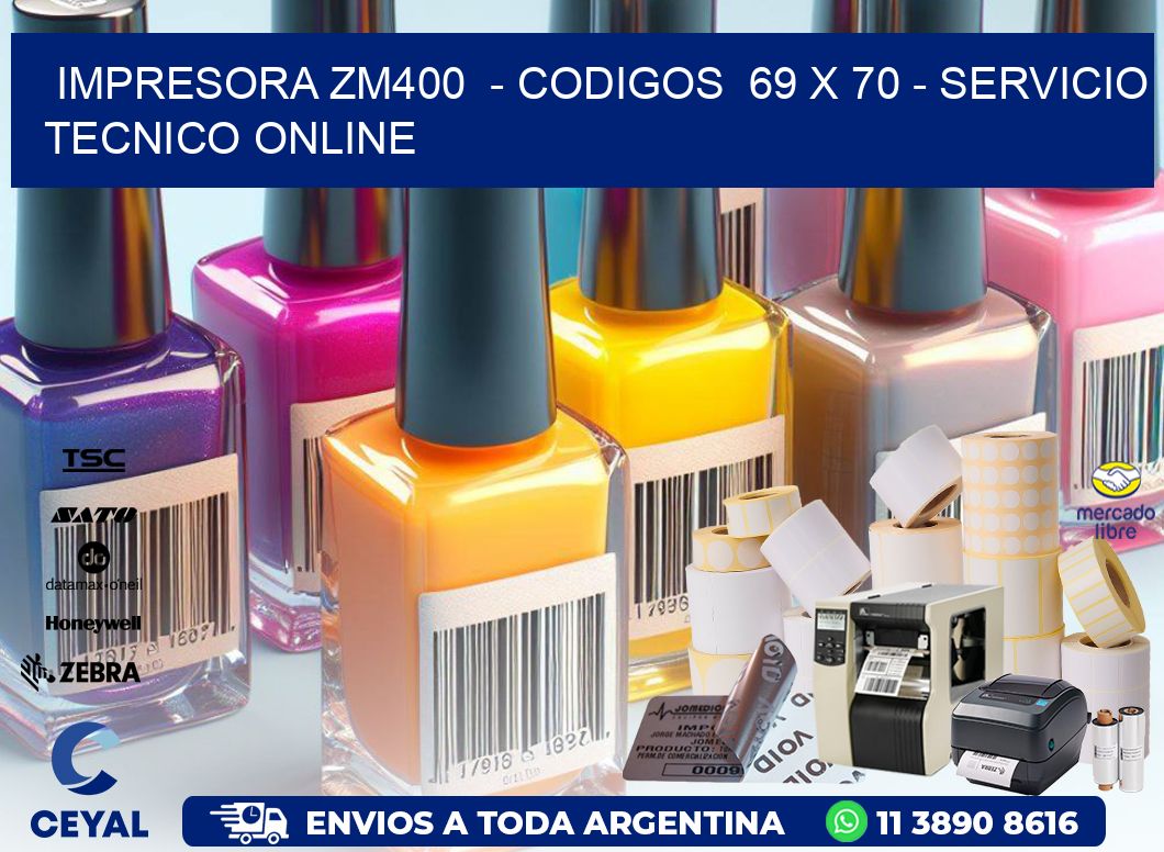 IMPRESORA ZM400 - CODIGOS 69 x 70 - SERVICIO TECNICO ONLINE