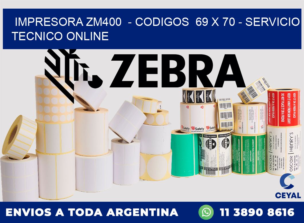 IMPRESORA ZM400 - CODIGOS 69 x 70 - SERVICIO TECNICO ONLINE