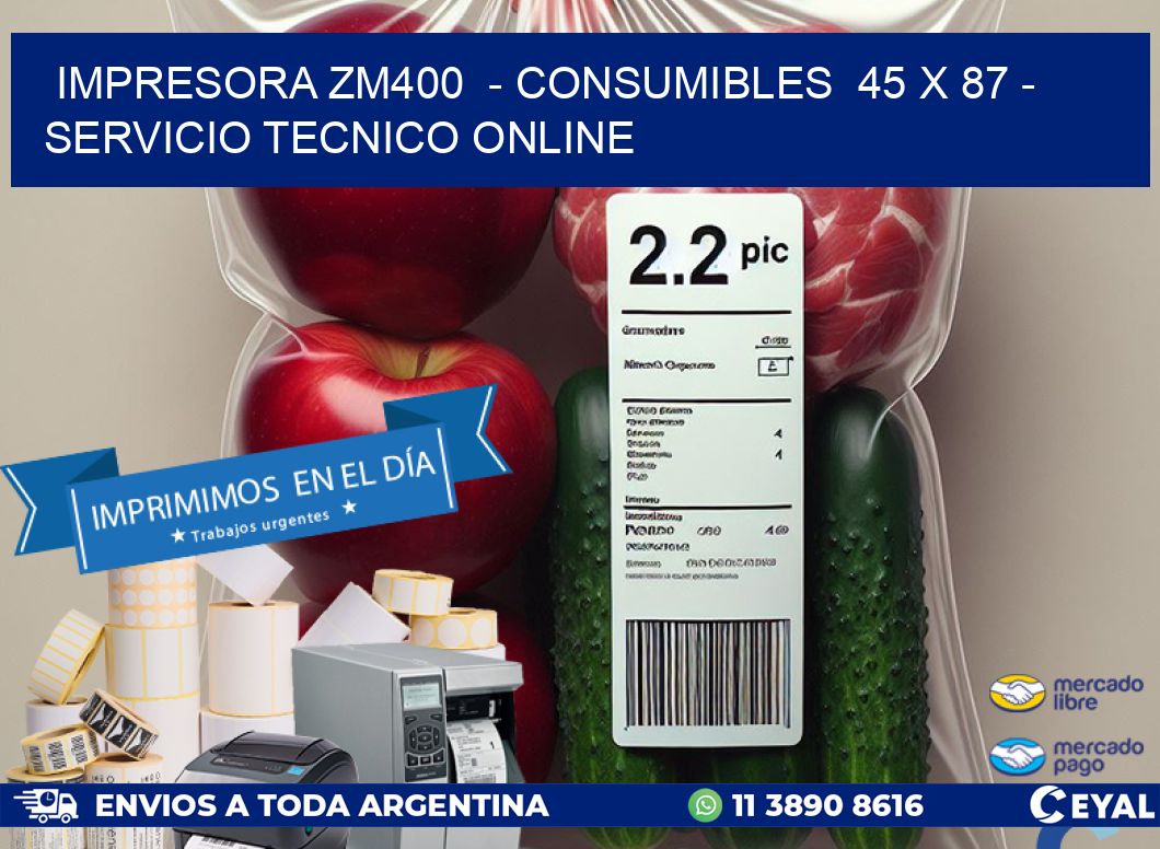 IMPRESORA ZM400  - CONSUMIBLES  45 x 87 - SERVICIO TECNICO ONLINE
