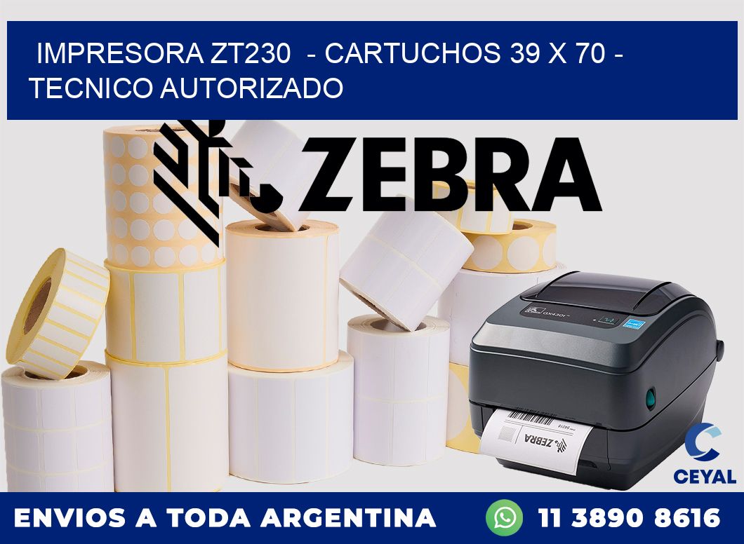 IMPRESORA ZT230  - CARTUCHOS 39 x 70 - TECNICO AUTORIZADO