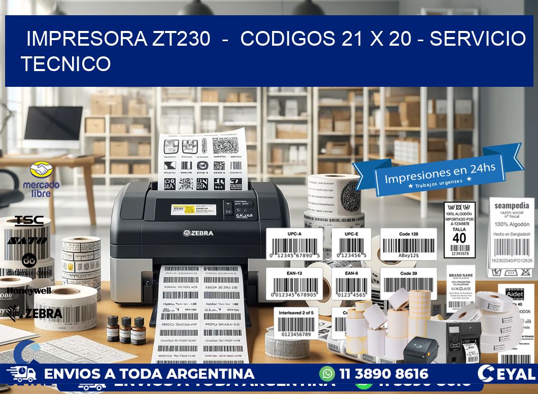 IMPRESORA ZT230  -  CODIGOS 21 x 20 - SERVICIO TECNICO